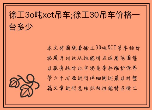 徐工3o吨xct吊车;徐工30吊车价格一台多少